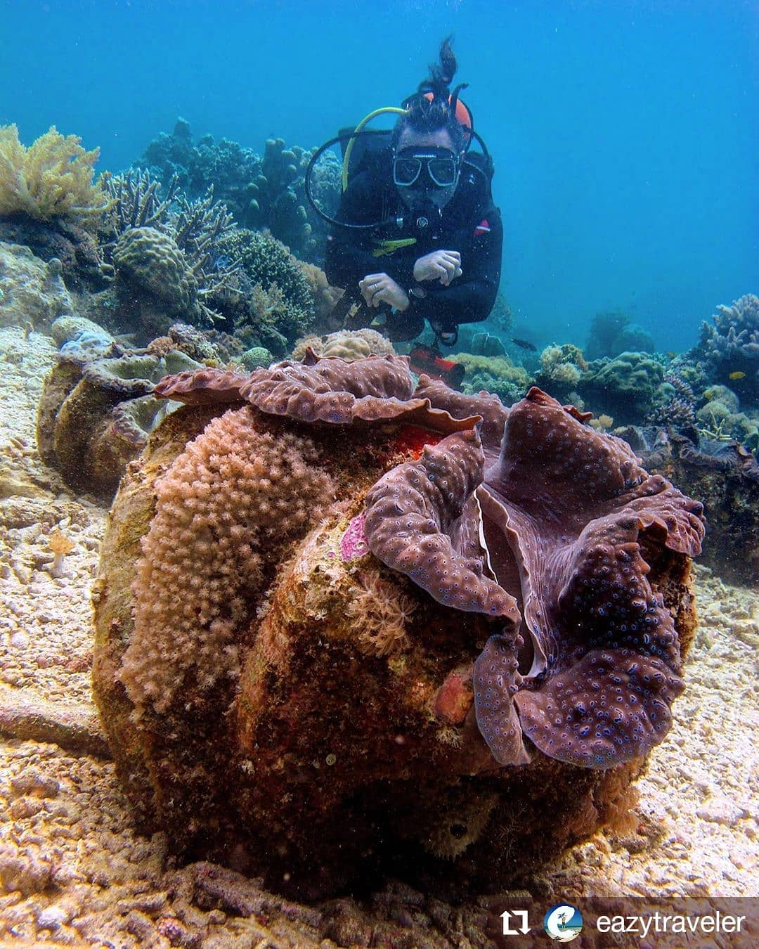 KABILA WHITE BEACH-1-fb-giant clam