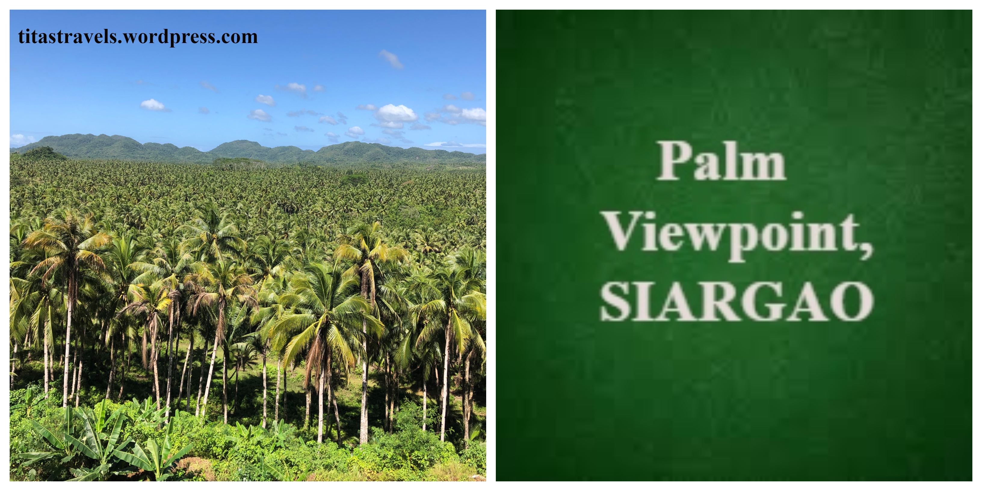 palm viewpt-collage-cover pic-POST